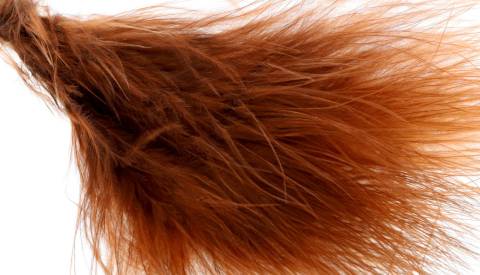 Nature's Spirit Fish Hunter Premium Strung Marabou